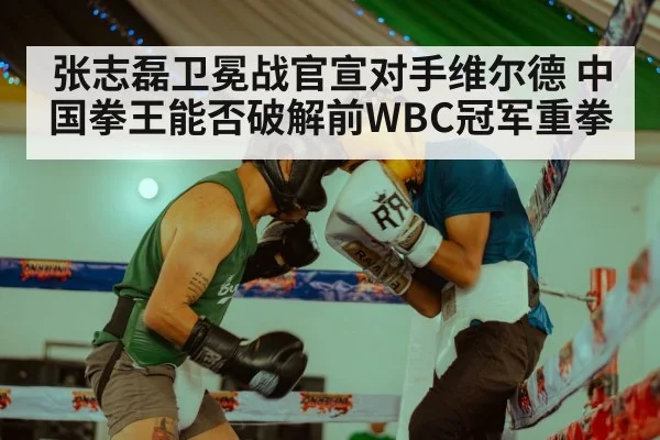 张志磊卫冕战官宣对手维尔德 中国拳王能否破解前WBC冠军重拳