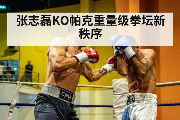 张志磊KO帕克重量级拳坛新秩序
